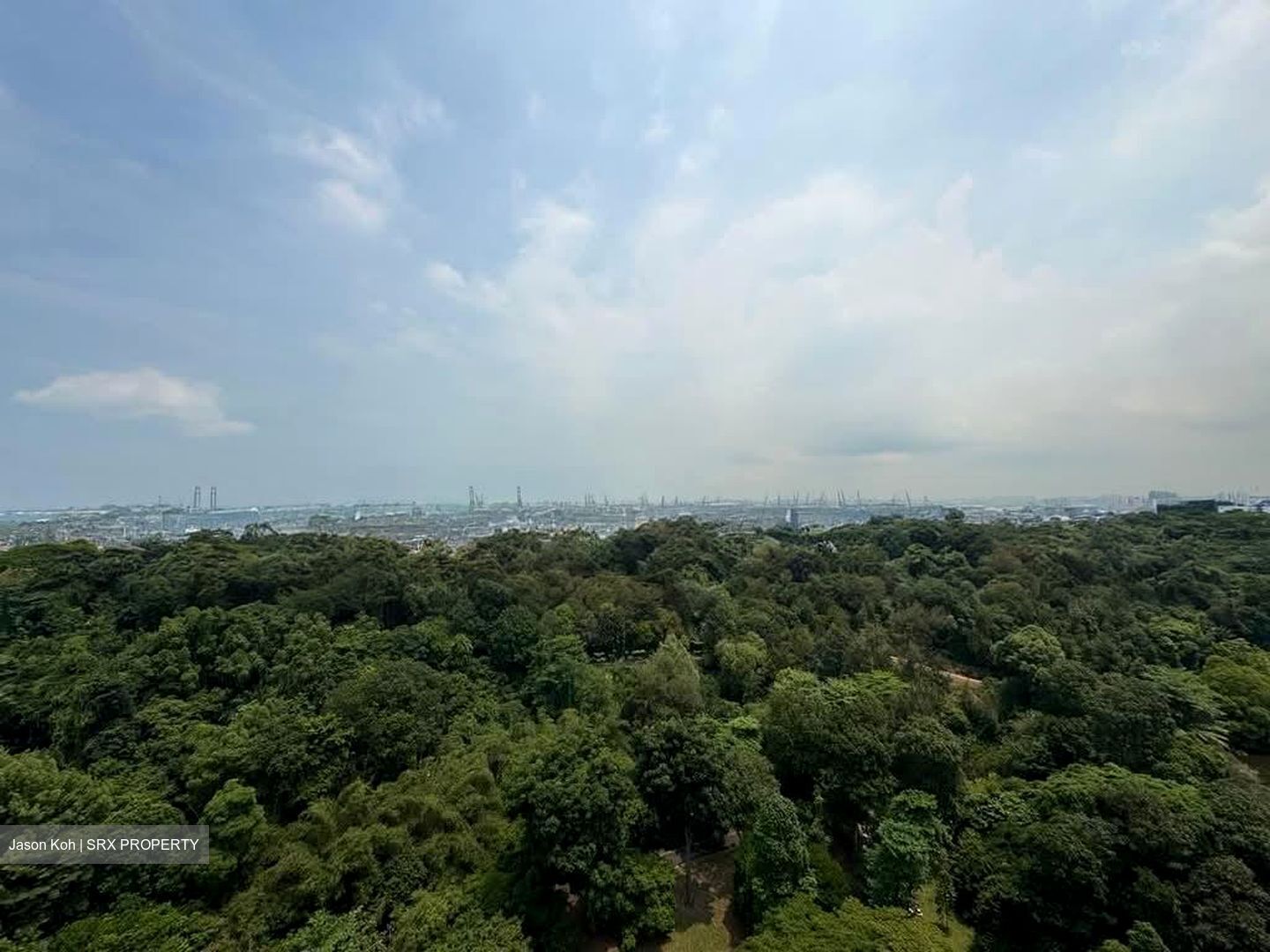 Normanton Park (D5), Apartment #594213461